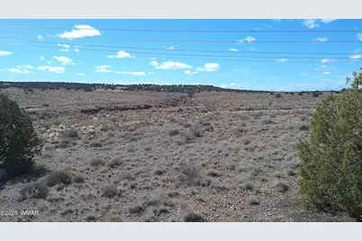 5280 Concho Ocho Road, Snowflake, AZ 85937 - Photo 20