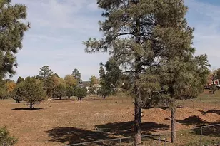 1888 Meadow St, Lakeside, AZ 85929 - Photo 18