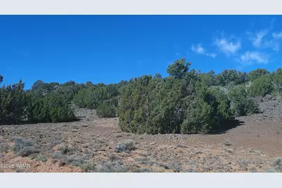 142 County Road 8020, Concho, AZ 85924 - Photo 14