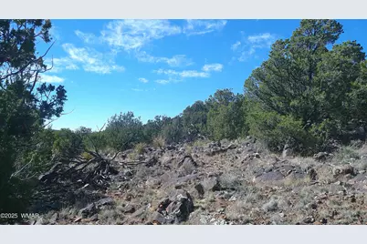 142 County Road 8020, Concho, AZ 85924 - Photo 18