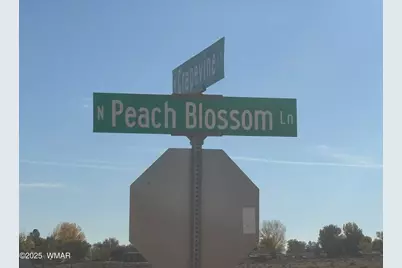 914 Peach Blossom Lane, Snowflake, AZ 85937 - Photo 2