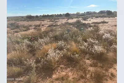 914 Peach Blossom Lane, Snowflake, AZ 85937 - Photo 8