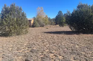 2287 Meadow Ln, Overgaard, AZ 85933 - Photo 1