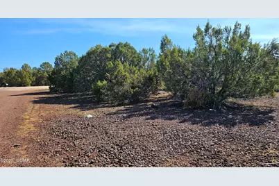 41 Acr 3119, Vernon, AZ 85940 - Photo 16