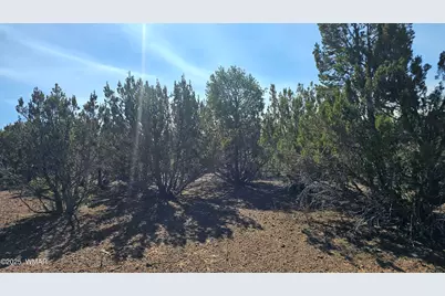 41 Acr 3119, Vernon, AZ 85940 - Photo 14