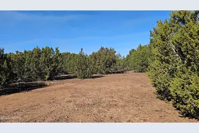 41 Acr 3119, Vernon, AZ 85940 - Photo 10