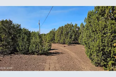 41 Acr 3119, Vernon, AZ 85940 - Photo 8