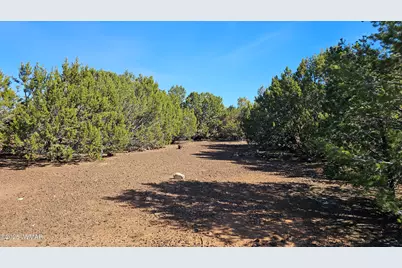 41 Acr 3119, Vernon, AZ 85940 - Photo 12