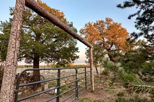 280 Cr N8355 (201-48-137A), Concho, AZ 85924 - Photo 4