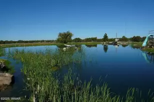 280 Cr N8355 (201-48-137A), Concho, AZ 85924 - Photo 42