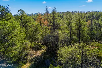 1920 S Pleasant View Drive, Show Low, AZ 85901 - Photo 18