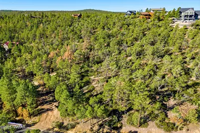 1920 S Pleasant View Drive, Show Low, AZ 85901 - Photo 14