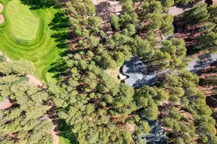 7510 Geronimo Rd, Pinetop, AZ 85935 - Photo 6