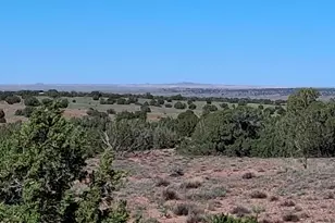 268 N 5380, Concho, AZ 85924 - Photo 1