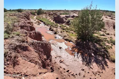 268 N 5380, Concho, AZ 85924 - Photo 4