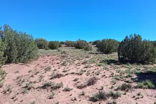 236 N9233 SE, Concho, AZ 85924 - Photo 1