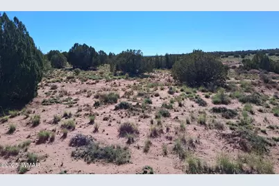 236 N9233 SE, Concho, AZ 85924 - Photo 2