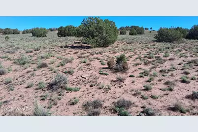 Sw236 N9233, Concho, AZ 85924 - Photo 2