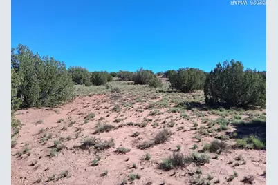 Sw236 N9233, Concho, AZ 85924 - Photo 1