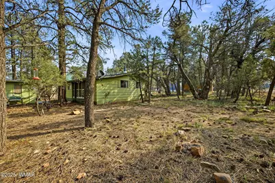2887 Center Road, Overgaard, AZ 85933 - Photo 1