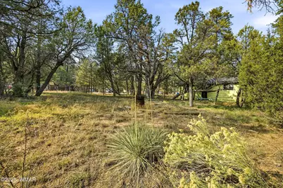 2887 Center Road, Overgaard, AZ 85933 - Photo 20
