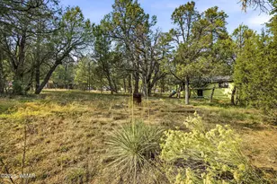 2887 Center Rd, Overgaard, AZ 85933 - Photo 20