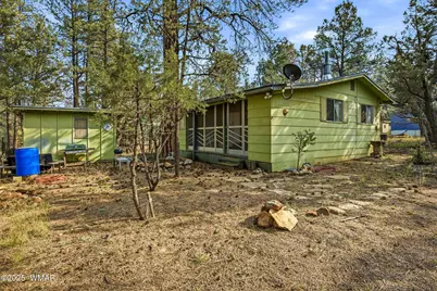 2887 Center Road, Overgaard, AZ 85933 - Photo 2