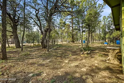 2887 Center Road, Overgaard, AZ 85933 - Photo 16