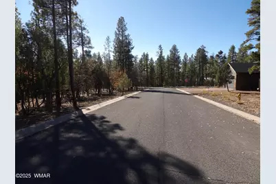 2553 Willow Way, Unit 41 #41, Lakeside, AZ 85929 - Photo 4