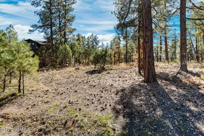 4531 W Fox Glove Lane, Show Low, AZ 85901 - Photo 10