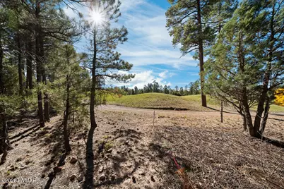 4531 W Fox Glove Lane, Show Low, AZ 85901 - Photo 6