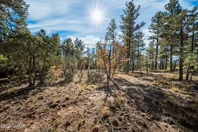 4531 W Fox Glove Lane, Show Low, AZ 85901 - Photo 4