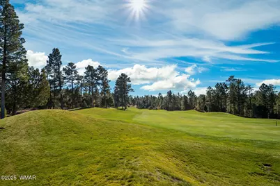 4531 W Fox Glove Lane, Show Low, AZ 85901 - Photo 8