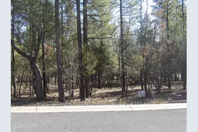 2521 Willow Way, Pinetop, AZ 85935 - Photo 2