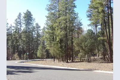 2522 Aspen Run, Unit 59 #59, Pinetop, AZ 85935 - Photo 4