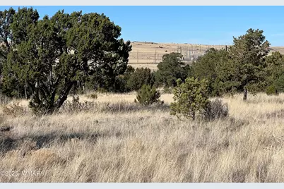Tbd State Highway 261, Eagar, AZ 85925 - Photo 8