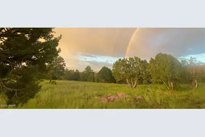 Tbd State Highway 261, Eagar, AZ 85925 - Photo 6