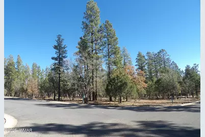 2534 S Aspen Run, Unit 60 #60, Pinetop, AZ 85935 - Photo 4
