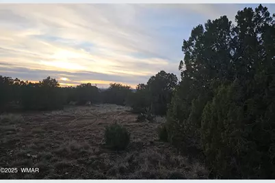 8338 Weber Road, Show Low, AZ 85901 - Photo 20