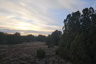 8338 Weber Rd, Show Low, AZ 85901 - Photo 20