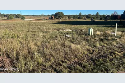 1041 S Lorenzo Sitgreaves Drive, Show Low, AZ 85901 - Photo 1