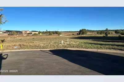 1041 S Lorenzo Sitgreaves Drive, Show Low, AZ 85901 - Photo 4