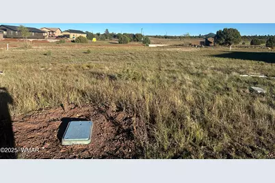 1041 S Lorenzo Sitgreaves Drive, Show Low, AZ 85901 - Photo 2