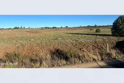 1081 S Ridgeway Place, Show Low, AZ 85901 - Photo 2