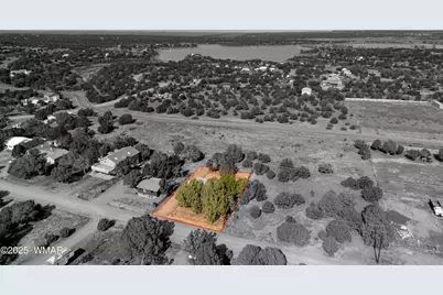 8338 Bear Meadow Drive, Show Low, AZ 85901 - Photo 18