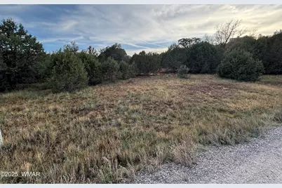7073 Bustin Dutch Trail, Show Low, AZ 85901 - Photo 1