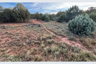 7073 Bustin Dutch Trail, Show Low, AZ 85901 - Photo 2