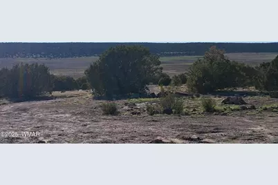 22 N 8171, Concho, AZ 85924 - Photo 10
