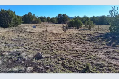 22 N 8171, Concho, AZ 85924 - Photo 6