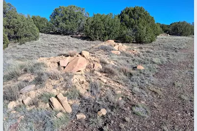 68 N 8171, Concho, AZ 85924 - Photo 4